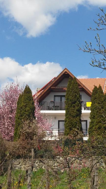 Panoráma Vendégház Badacsonytomaj Exterior foto